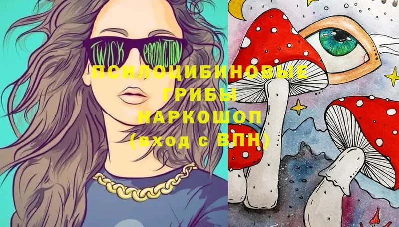 Псилоцибиновые грибы Magic Shrooms  Петровск-Забайкальский 